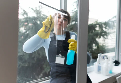 Nettoyage de vitres intérieures et extérieures à Kembs